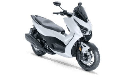 RKS RZ 250 S - BEYAZ